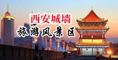 想要操美女网中国陕西-西安城墙旅游风景区